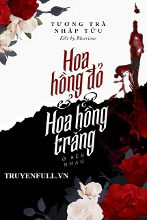 hoa-hong-do-va-hoa-hong-trang-o-ben-nhau-90